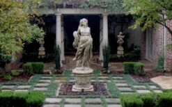 Dwarf Mondo Grass - 32 Pack Of 2.5" Pots -Plantify Shop Picture Mondo Grass Dwarf Pavers 1