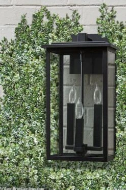 Variegated Creeping Fig (Ficus Pumila 'Variegata') - 10 Pack Of 4" Pint Pots -Plantify Shop ficus pumila variegata creeping fig 102