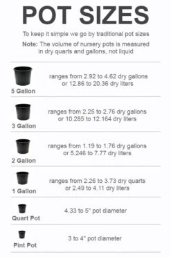 Front Page -Plantify Shop pot size chart 2022 332